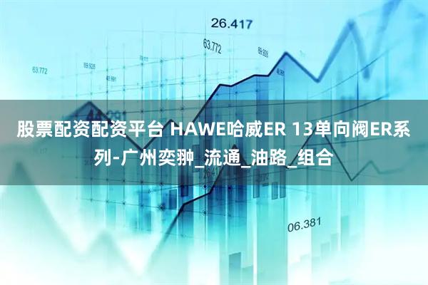 股票配资配资平台 HAWE哈威ER 13单向阀ER系列-广州奕翀_流通_油路_组合