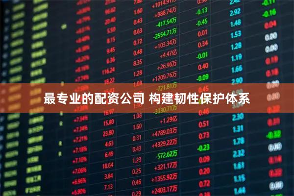 最专业的配资公司 构建韧性保护体系